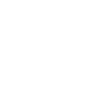 Alternate Text