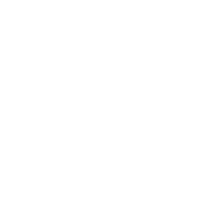 Alternate Text
